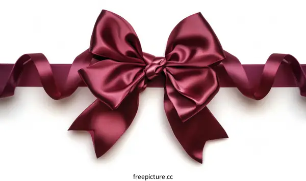 Burgundy bow with a long ribbon