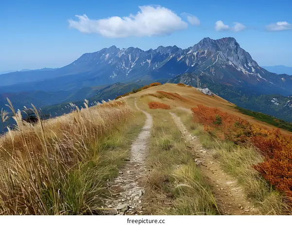 The path to the summit of a mountain