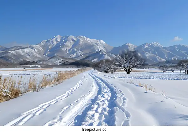 Snowy path towards the mountain