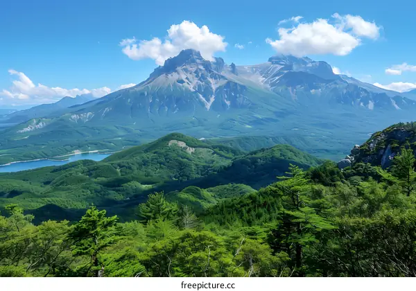 Scenic View of Mountain Range and Lush Green Forest