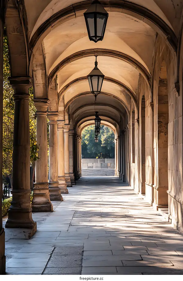 Stone Columns and Arched Ceiling of a Building