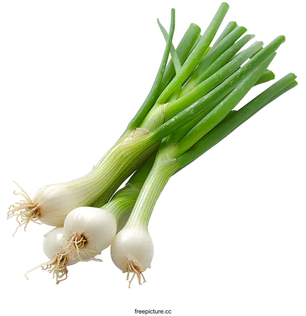 [Transparent Background PNG]Fresh Spring Onions on White Background