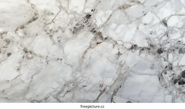 Elegant White Marble Texture with Dark Veins