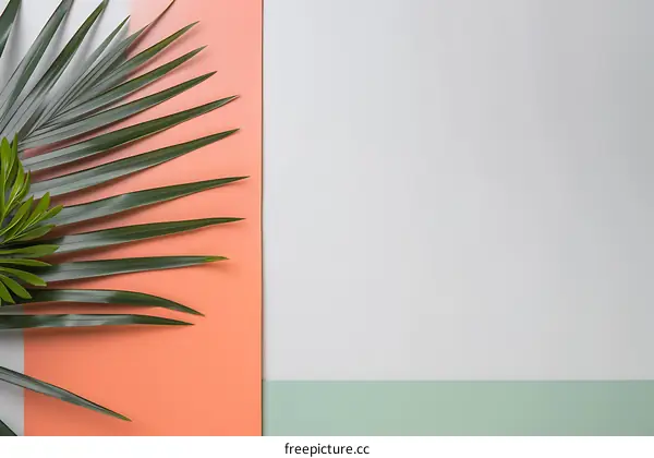 Green Palm Leaf On Peach And White Background