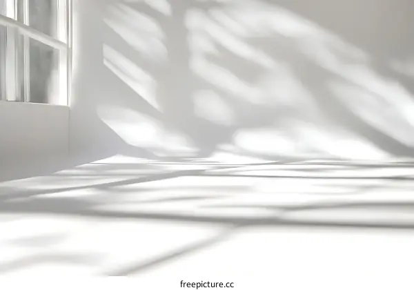 White Minimalist Shadow Room Interior