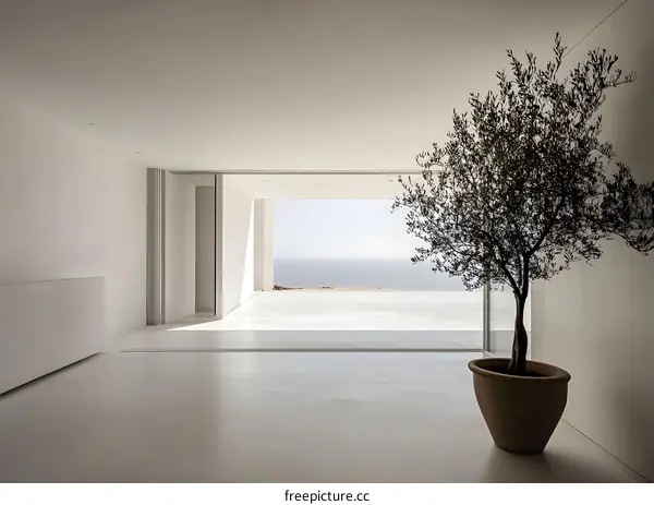 Minimalist Interior Design with Olive Tree and Ocean View