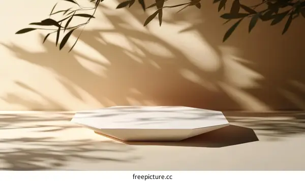 Beige Minimalist Product Display with Natural Light