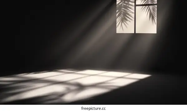 Sunlight through Window with Palm Leaf Shadows