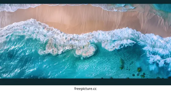 Aerial View of a Tropical Beach
