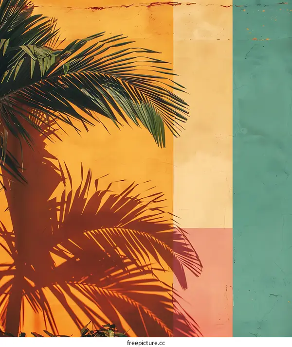 Palm Tree Shadow on Colorful Wall