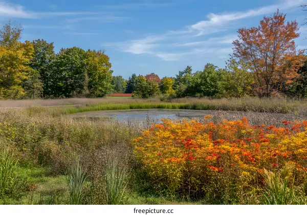 Autumn Colors Reflected in Pond