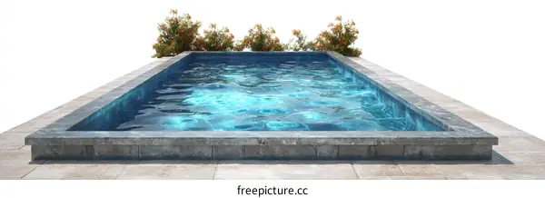 Empty Swimming Pool Outdoor Design