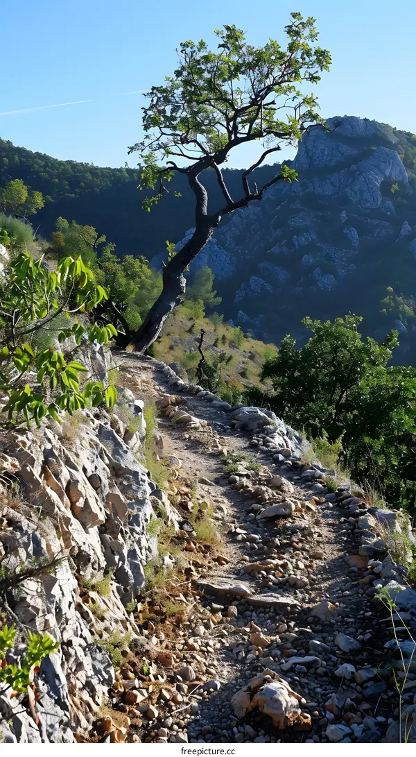 Rocky hiking trail through the mountains