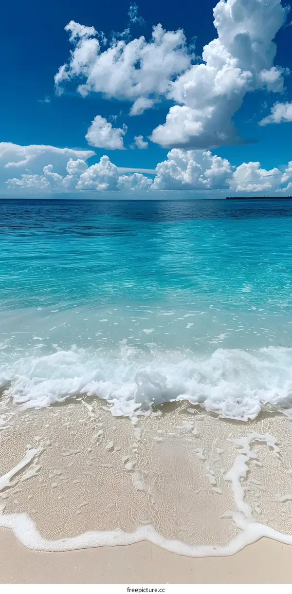 Tranquil Tropical Paradise Beach