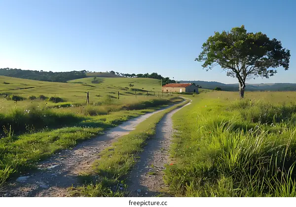 Dirt road to an old farmhouse
