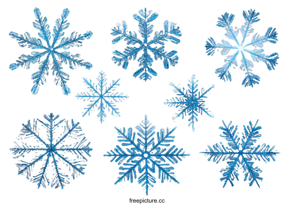 [Transparent Background PNG]Beautiful Snowflake Patterns on White Background