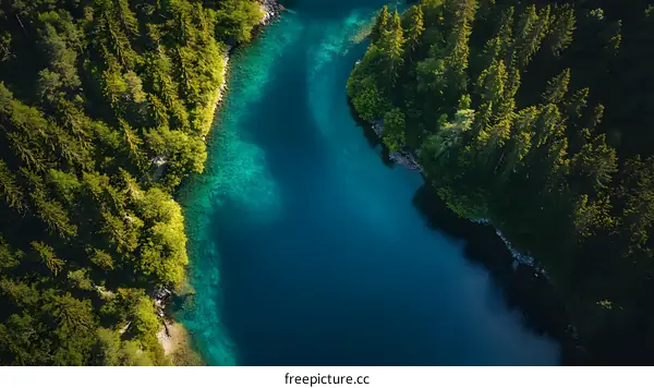 Aerial View of a Forest Lake in the Mountains