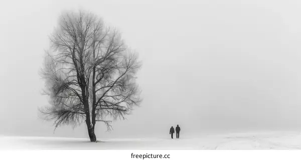 Couple walking in the snow towards a tree