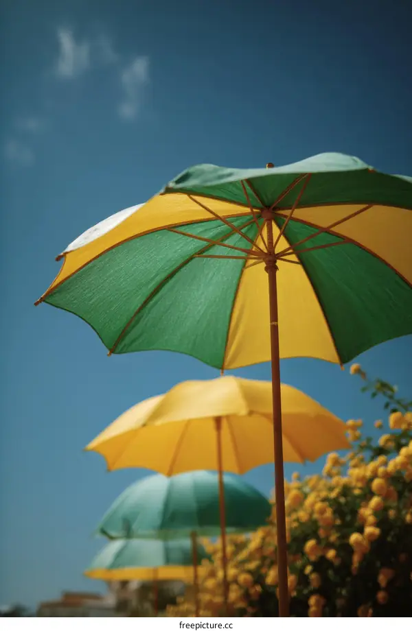 Colorful Umbrellas Under a Sunny Sky