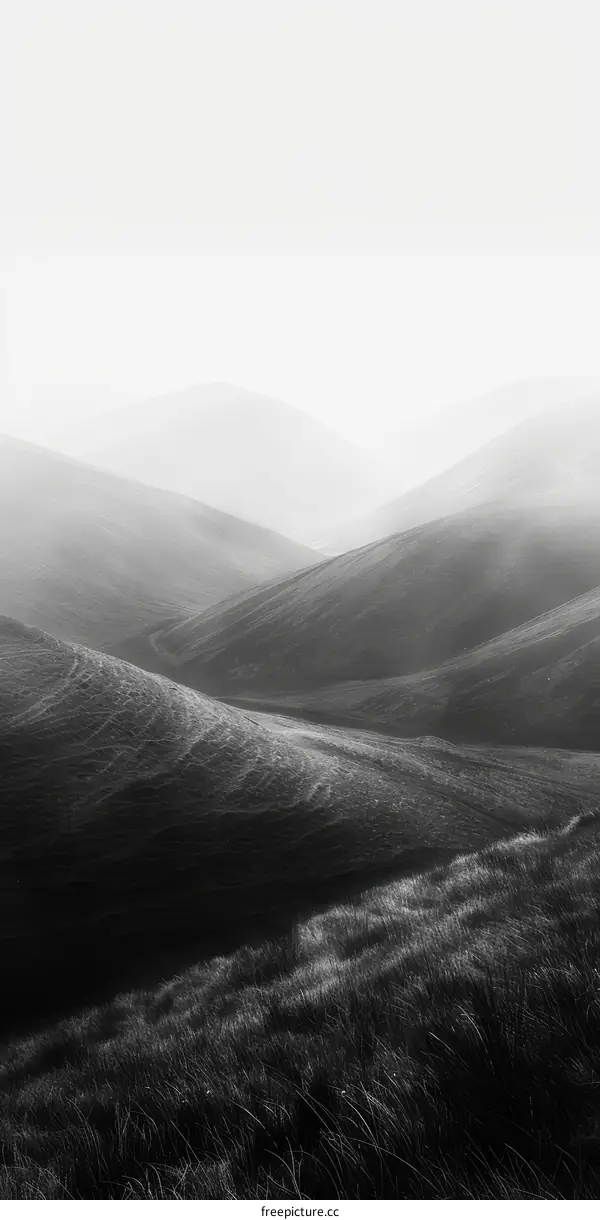 Rolling Hills Landscape Photography in Black and White