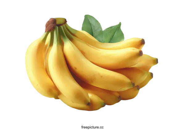 [Transparent Background PNG]Bunch of Fresh Bananas with Leaves