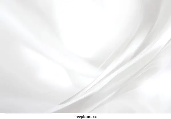 Elegant White Fabric Texture