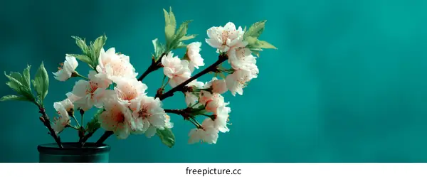 Spring Blossom Branch with Teal Background