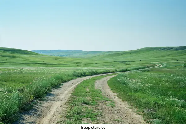Dirt Road Through Lush Green Meadow