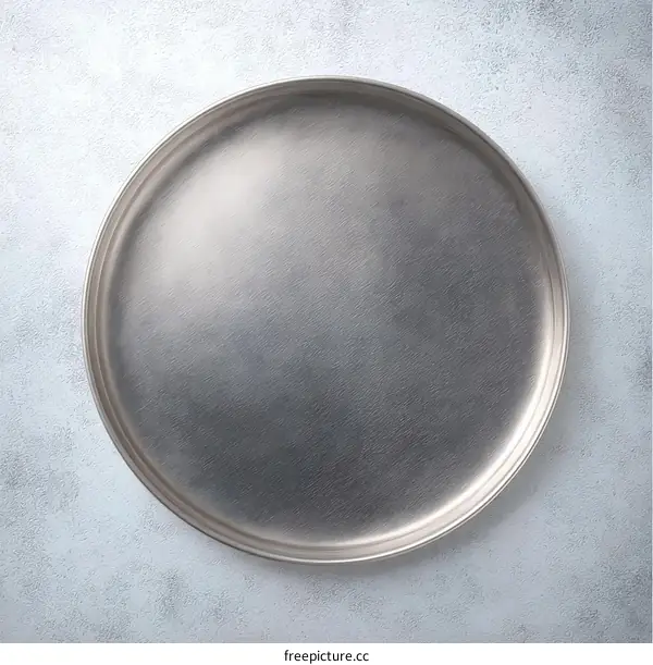 Empty Round Stainless Steel Plate on Light Gray Background
