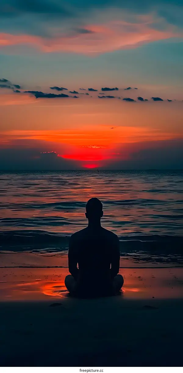 Silhouette of a Man Sitting on Beach at Sunset