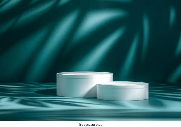 Minimalist Modern Product Showcase Display