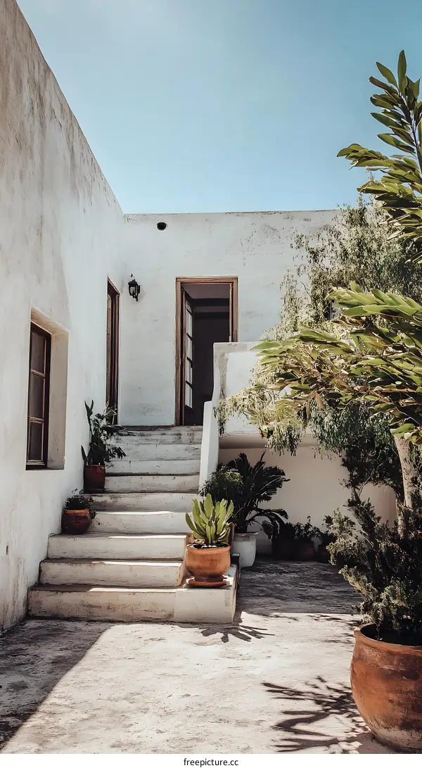 White Wall House With Steps and Plants