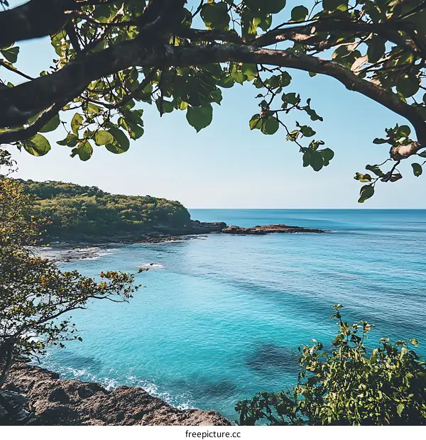Tropical Beach with Clear Blue Water and Lush Green Foliage
