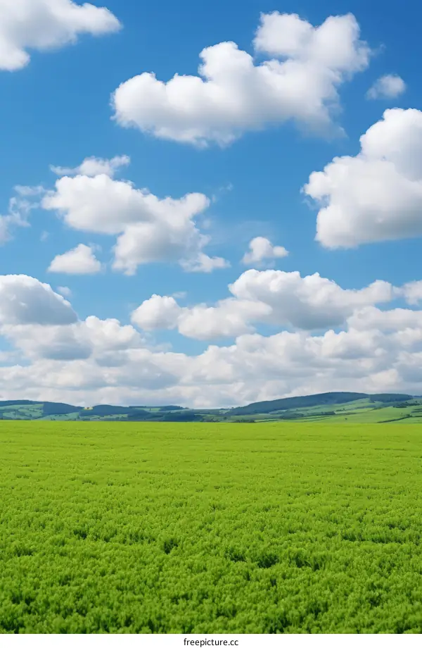 Green field and blue sky