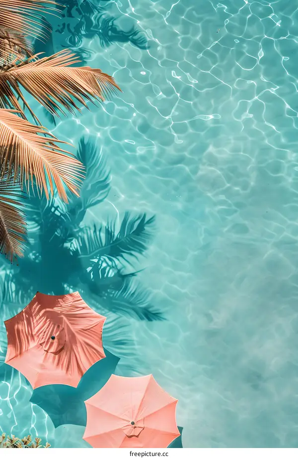 Two Pink Umbrellas by the Pool With Palm Tree