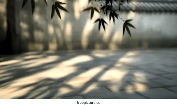 Bamboo Leaf Shadows on Paved Courtyard