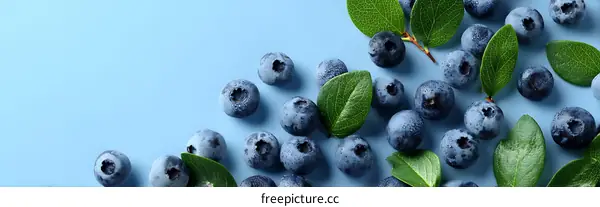 Fresh Blueberries with Green Leaves on Light Blue Background