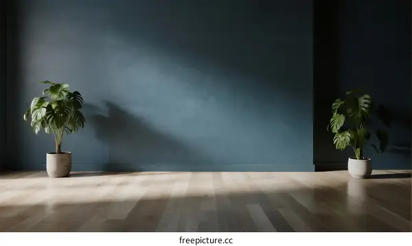 Indoor space with two potted plants against a dark wall