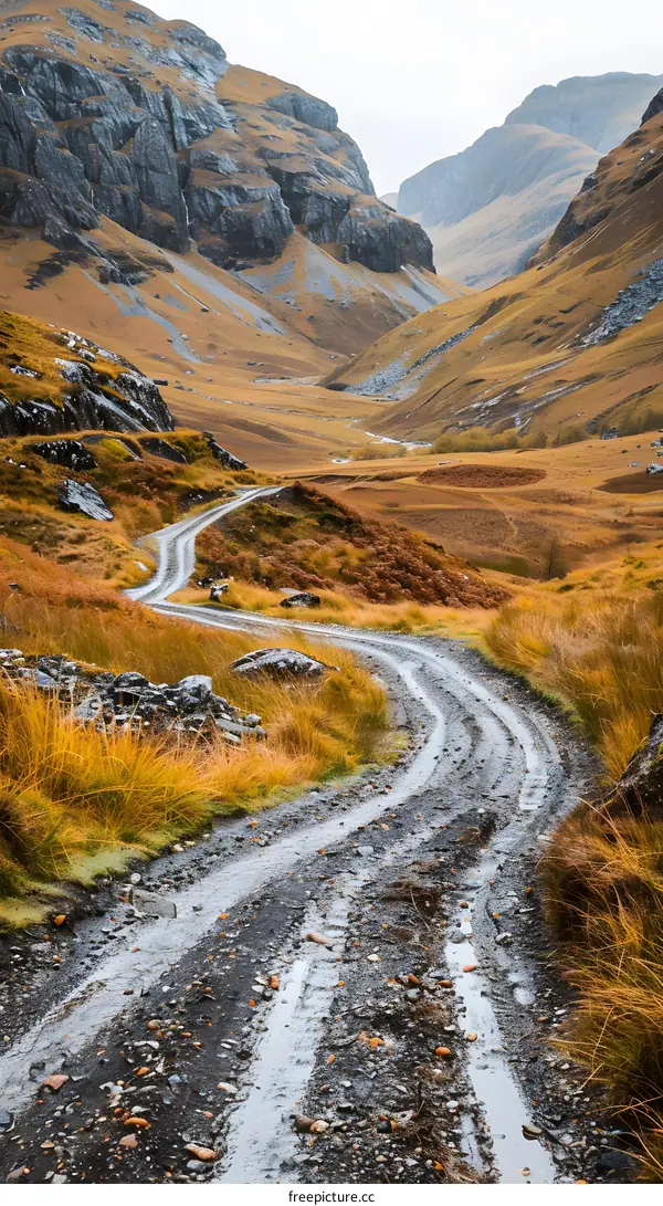 Winding Road Through Scottish Mountains