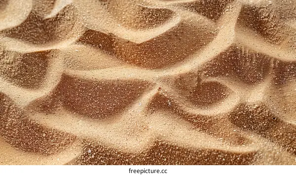 Sand Texture Close-Up