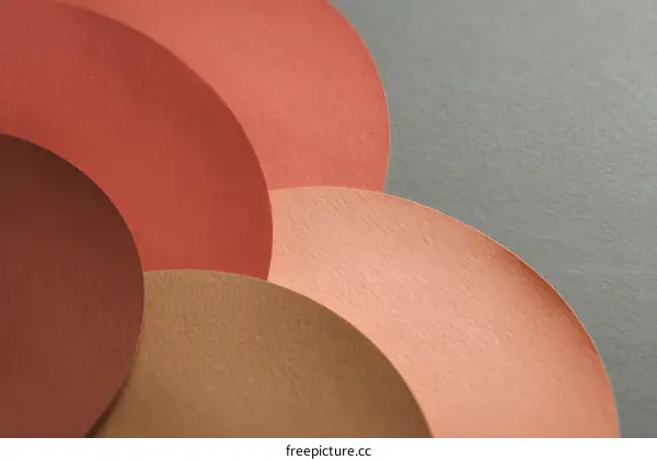 Abstract Colorful Paper Circles Composition