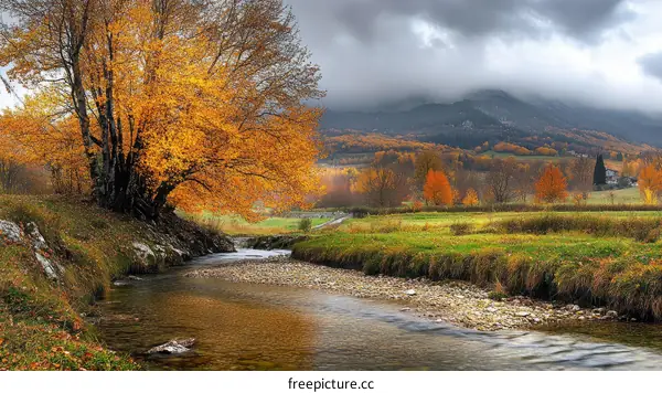 Autumnal Landscape by a Stream