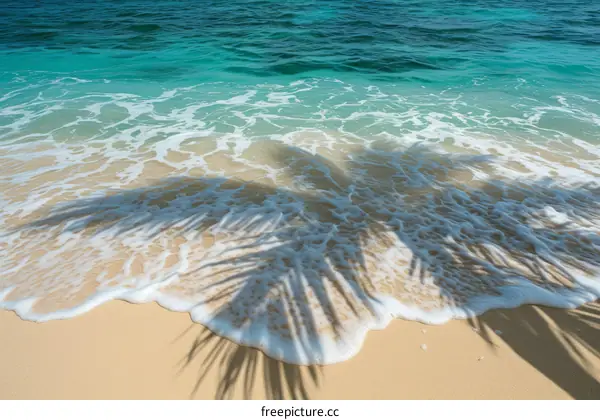 Palm Tree Shadow on the Beach with Sea Waves in the Background