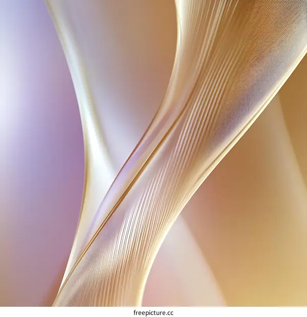 Abstract Feather-like Lines and Colors