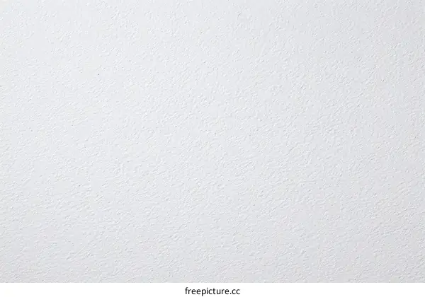 Plain White Texture Background