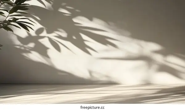 Abstract Shadows of Tropical Leaves on a Light Beige Wall