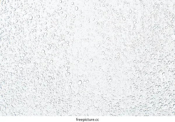 Close-up of Water Droplets on a Transparent Surface