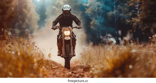Dirt bike rider speeds through a forest trail