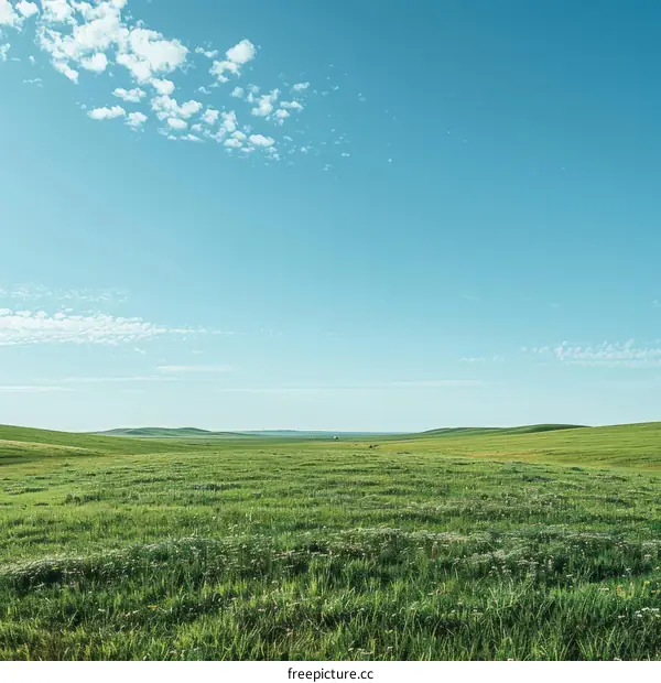 Vast Grassland Under Blue Sky with Clouds