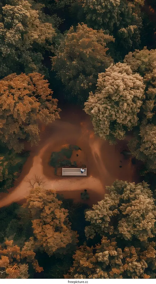 Aerial View of a Park in Autumn